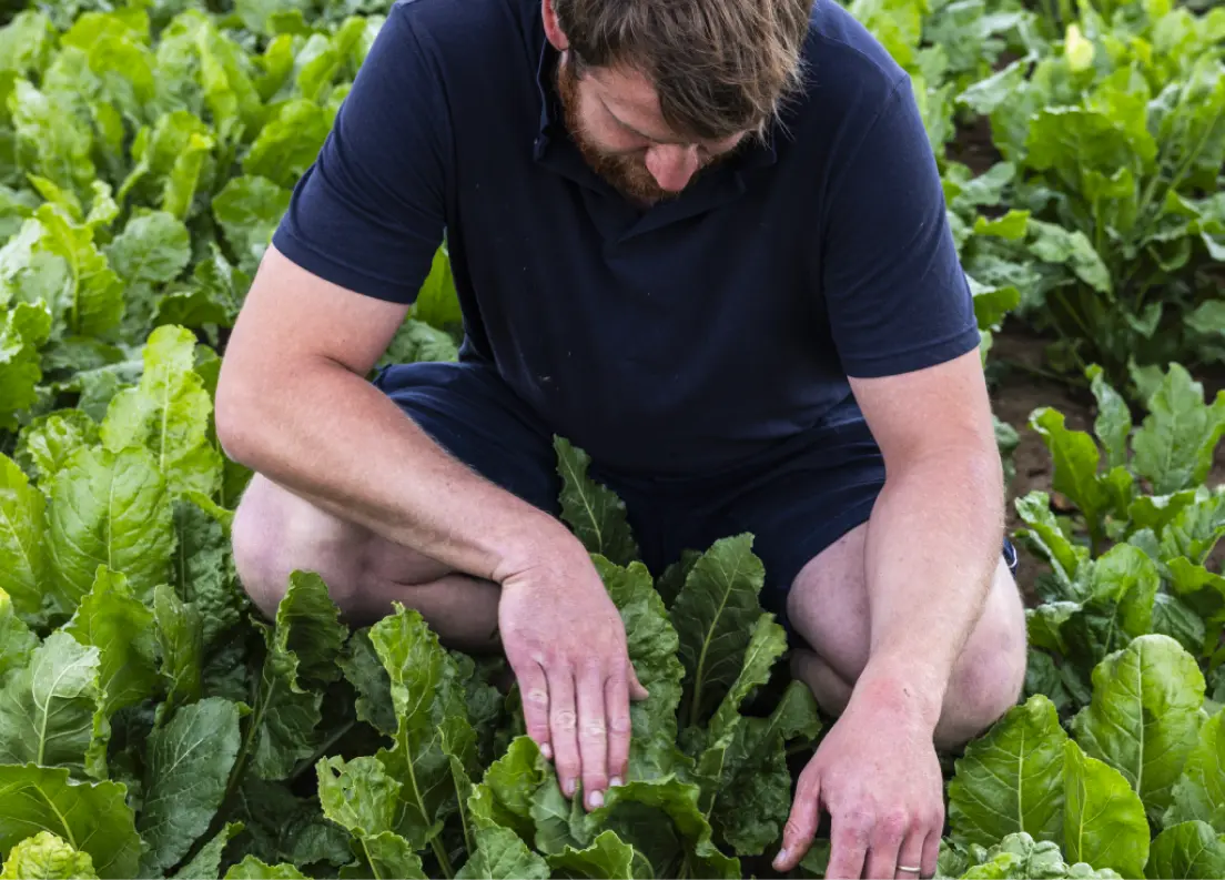 Set up 60 agro-ecology transition trial protocols with our farmers every year.