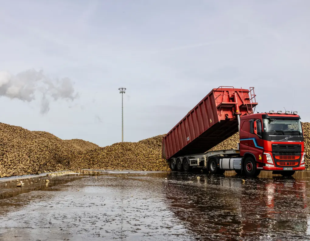 L’approvisionnement de nos sucreries en betteraves