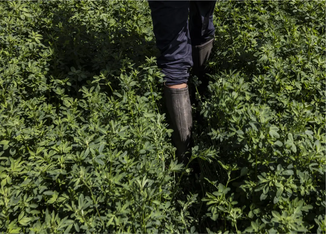 Permettre à chacune et chacun d’agir à son niveau pour la transition écologique et le dynamisme des territoires