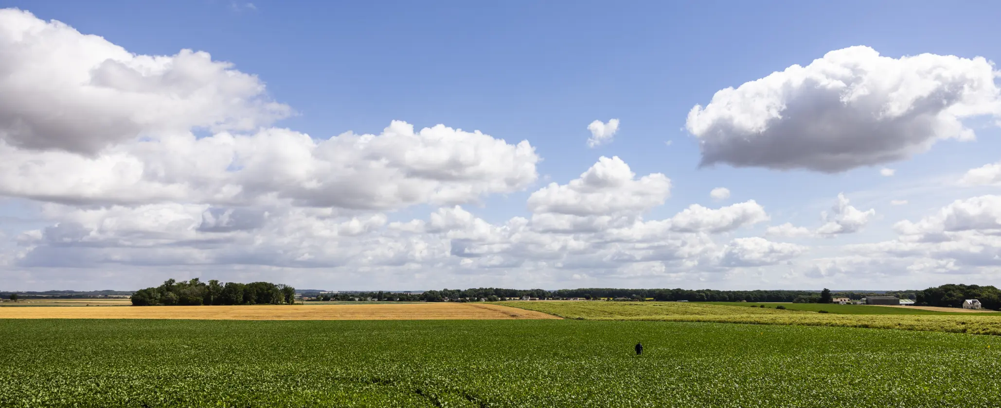 Les implantations Saint Louis Sucre