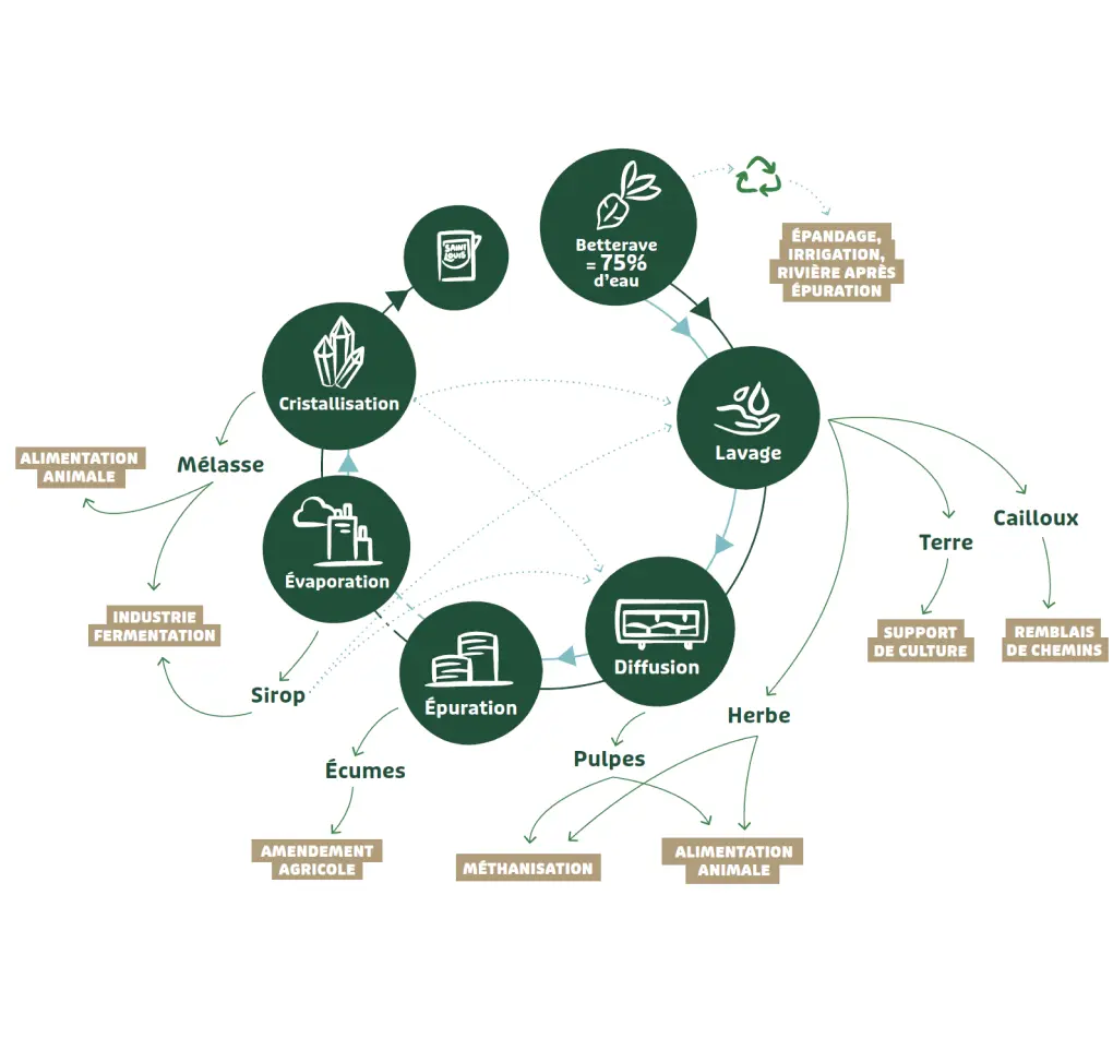 SLS Beet circularity diagram