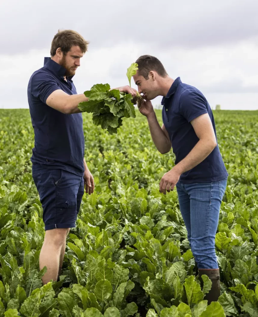 Les métiers de l’agriculture